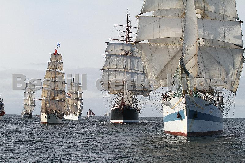 TSR2011_2 392.JPG
